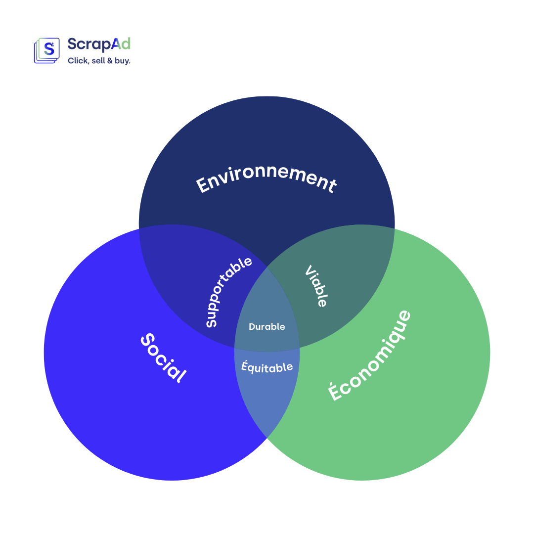 Les Piliers Du D Veloppement Durable Scrapad