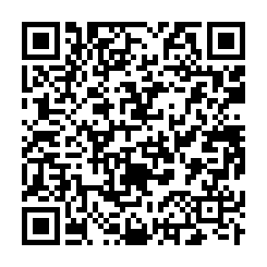 qrcode app play store